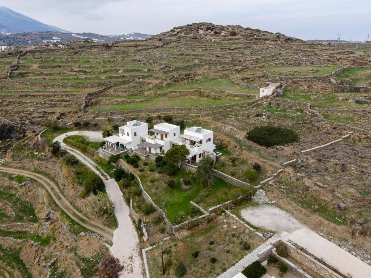 Domitilla أبولونيا المظهر الخارجي الصورة